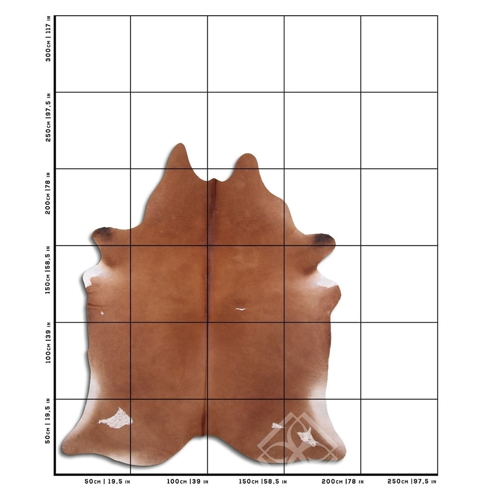 Cowhide Area Rugs NATURAL HAIR ON COWHIDE BROWN 3 - 5 M GRADE B Size ...