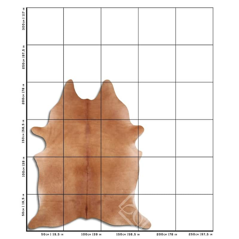 Cowhide Area Rugs NATURAL HAIR ON COWHIDE CARAMEL 2 - 3 M GRADE B size ...