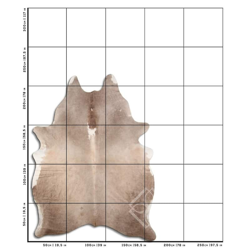 Cowhide Area Rugs NATURAL HAIR ON COWHIDE LIGHT CHAMPAGNE 2 - 3 M GRADE ...