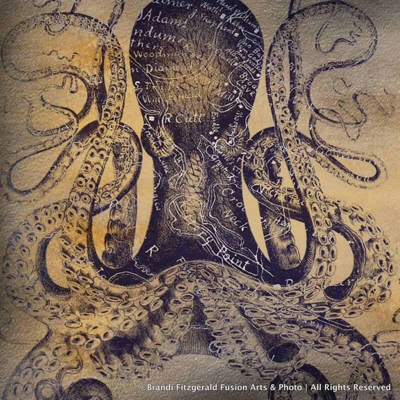 CANVAS Blue Translucent Octopus by Brandi Fitzgerald Graphic Art - 36x36