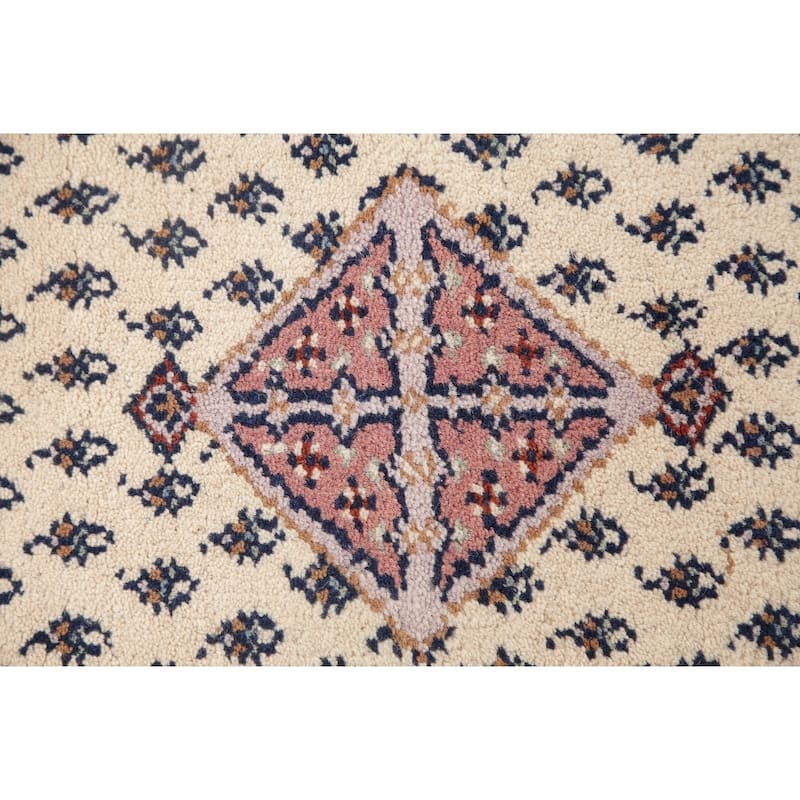Persian Traditional Rug Hand Knotted Indian Oriental Wool Carpet