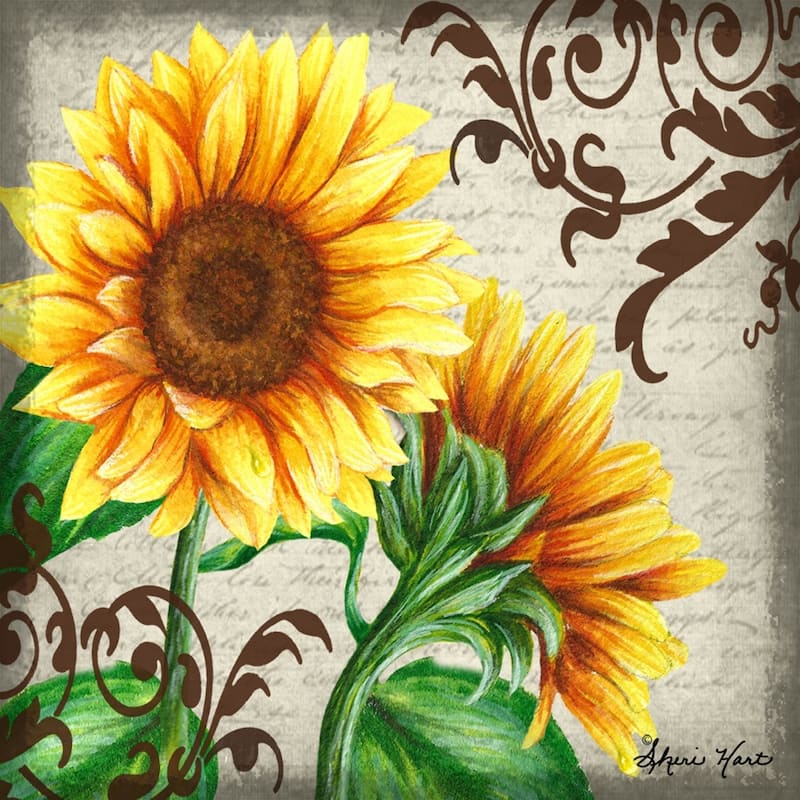 CANVAS A Day in the Garden with Sunflowers by Sheri Hart Graphic Art Print - 36 x 36