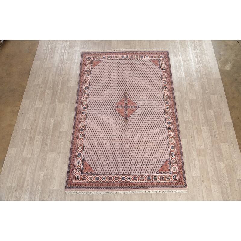 Botemir Indian Rug Oriental Hand Knotted Wool Persian Style Carpet
