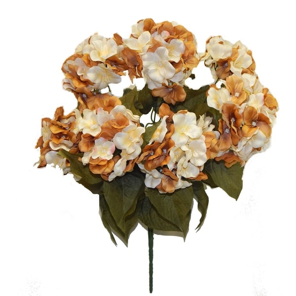 21" tall hydrangea bush x 7