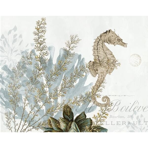 CANVAS Natural Seahorse by Stacey Powell Graphic Art - 12 x 16