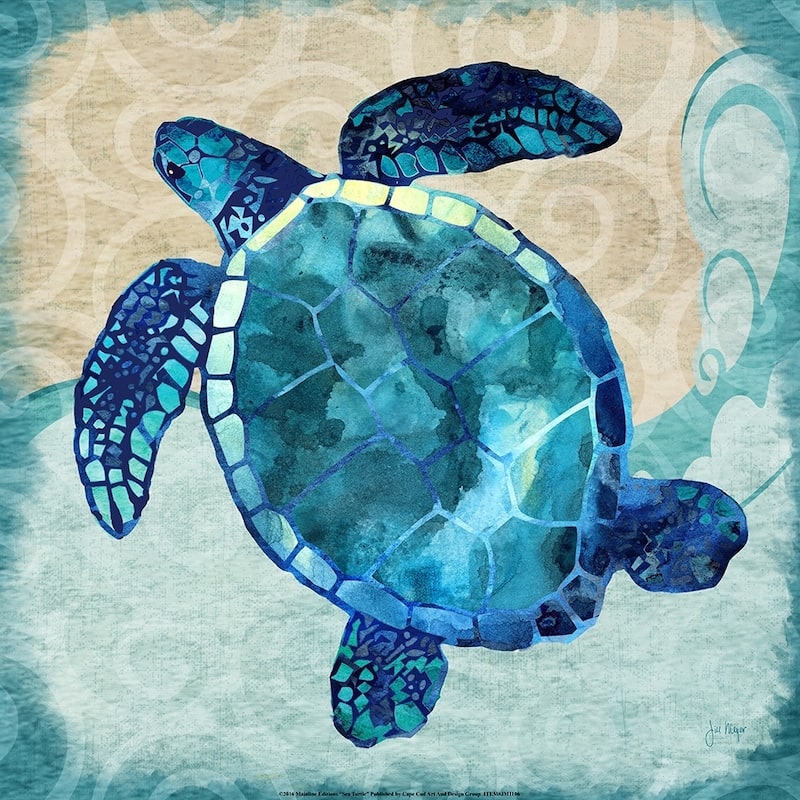 CANVAS Sea Turtle by Jill Meyer Graphic Art - 12x12