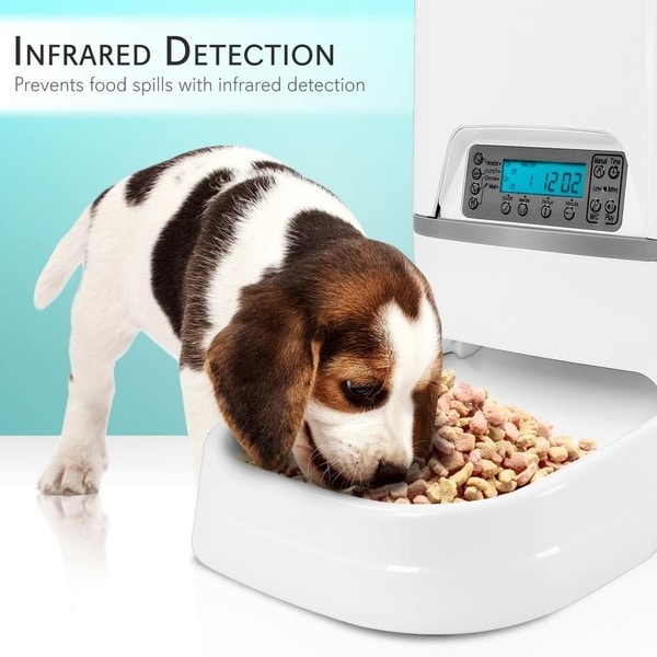 digital dog feeder