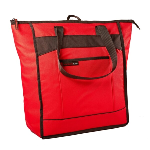 rachael ray lunch tote