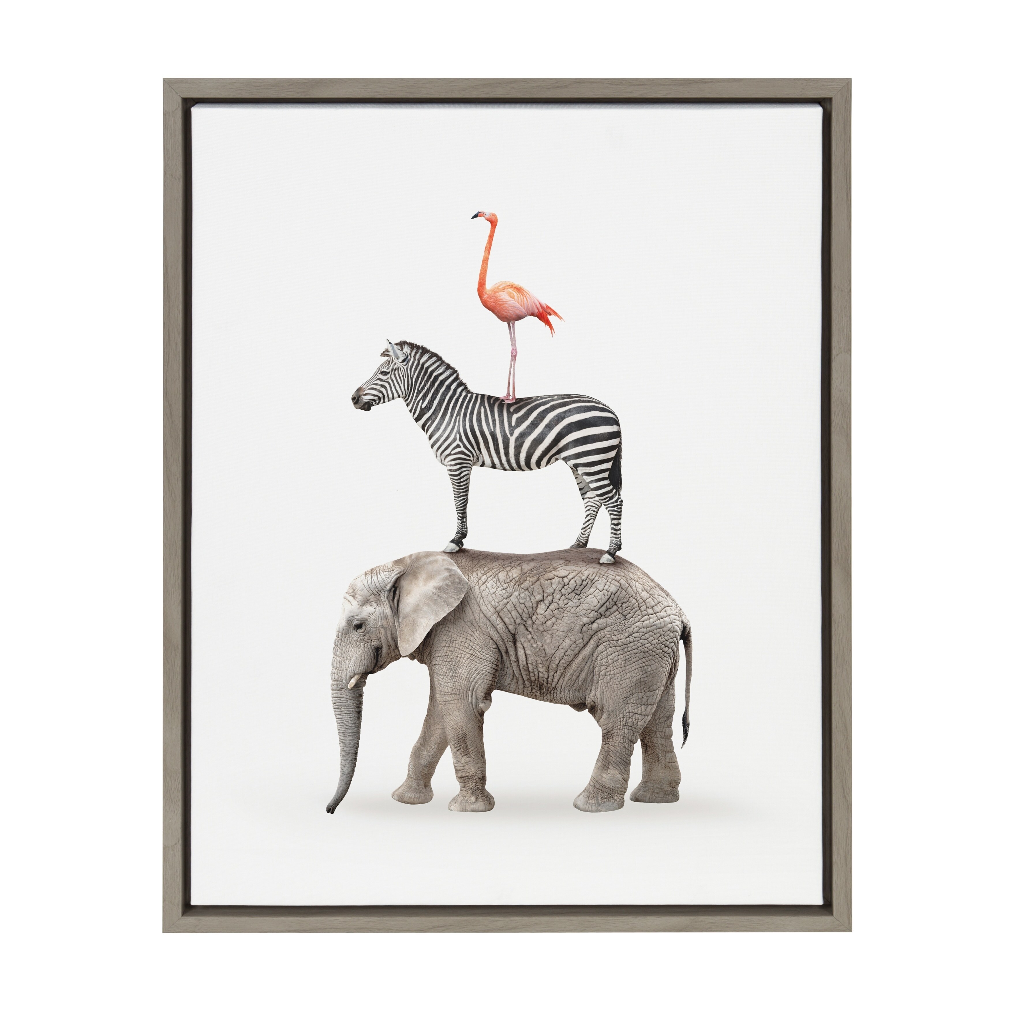 Zebra Print Animal Art by Amy Peterson Zebra in Tall Grass Zebra Art Safari Zebra