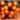 Orange LED Set of 70 Lights Light String G12