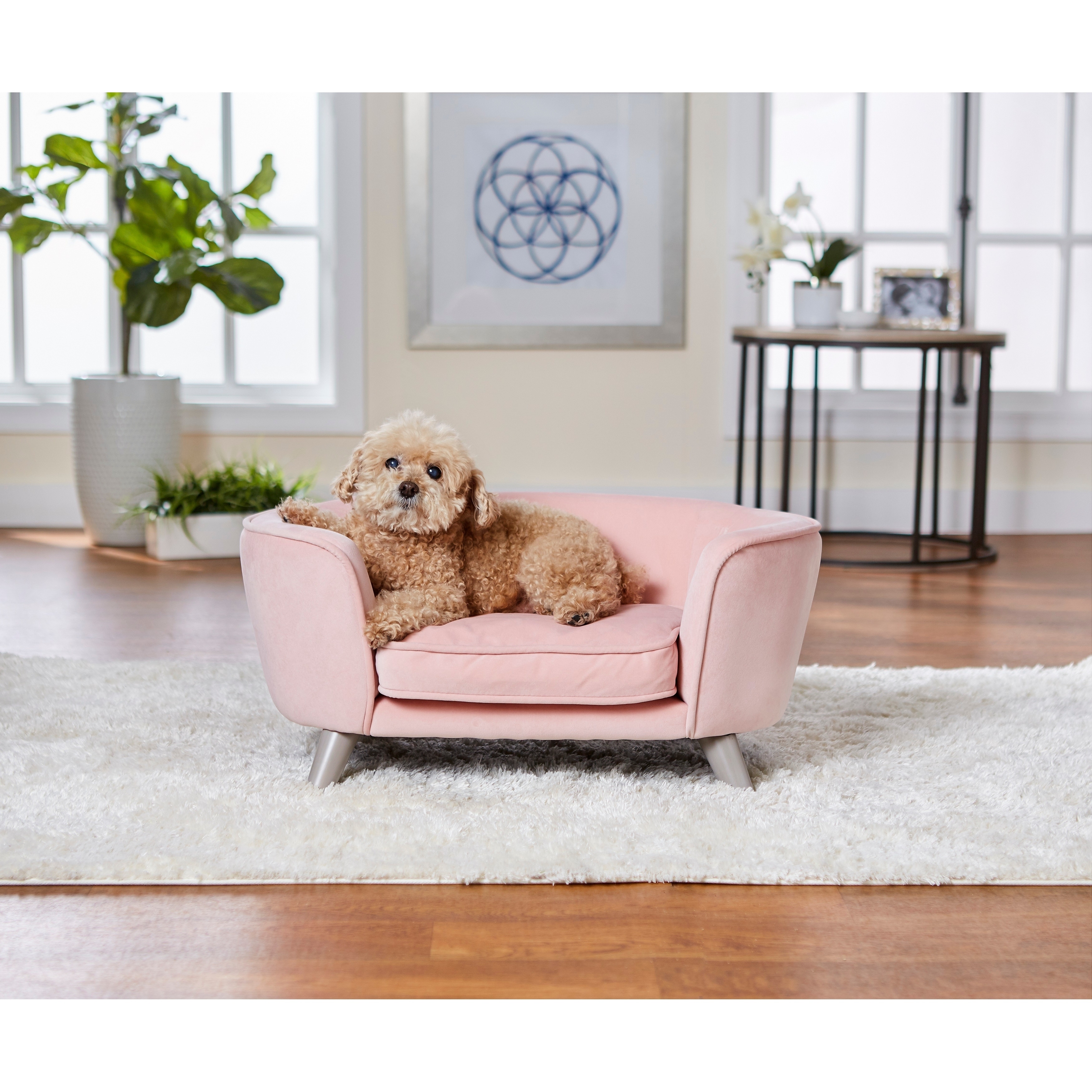 enchanted pet sofa