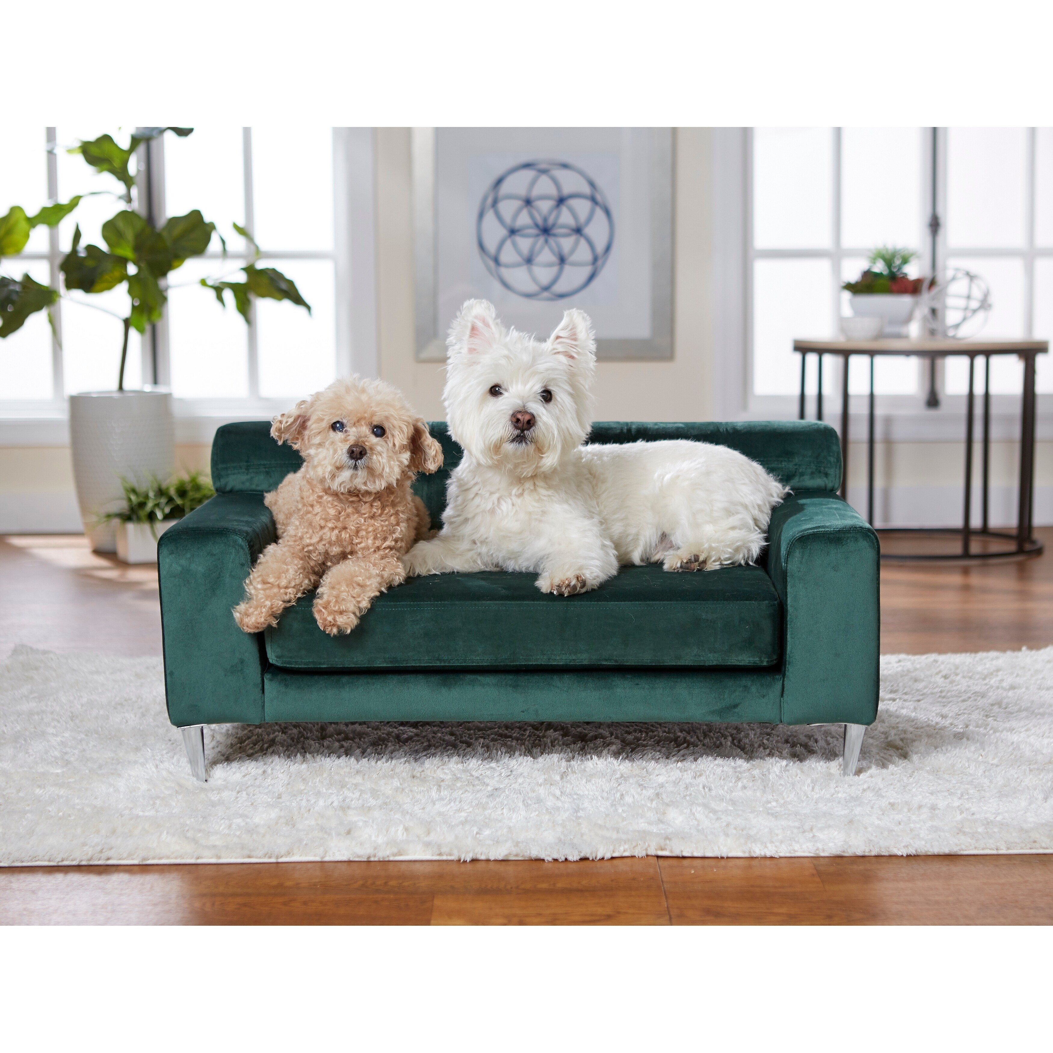 Enchanted home best sale pet couch