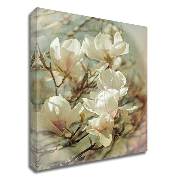 https://ak1.ostkcdn.com/images/products/29162421/Vintage-Inspired-Magnolias-by-Brooke-T.-Ryan-Print-on-Canvas-16-x-20-Ready-to-Hang-13242c81-8177-4976-bb3e-affc357fdaed_600.jpg?impolicy=medium