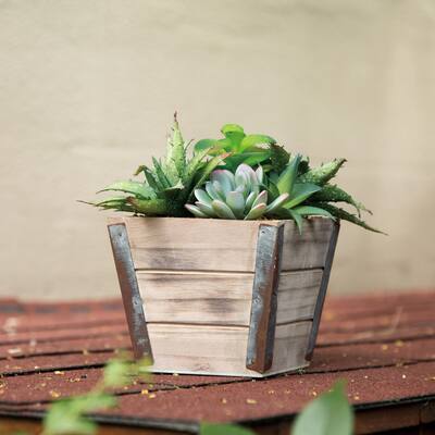 Buy Artificial Plants Online At Overstock Our Best Decorative