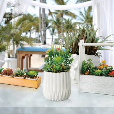 Buy Artificial Plants Online At Overstock Our Best Decorative
