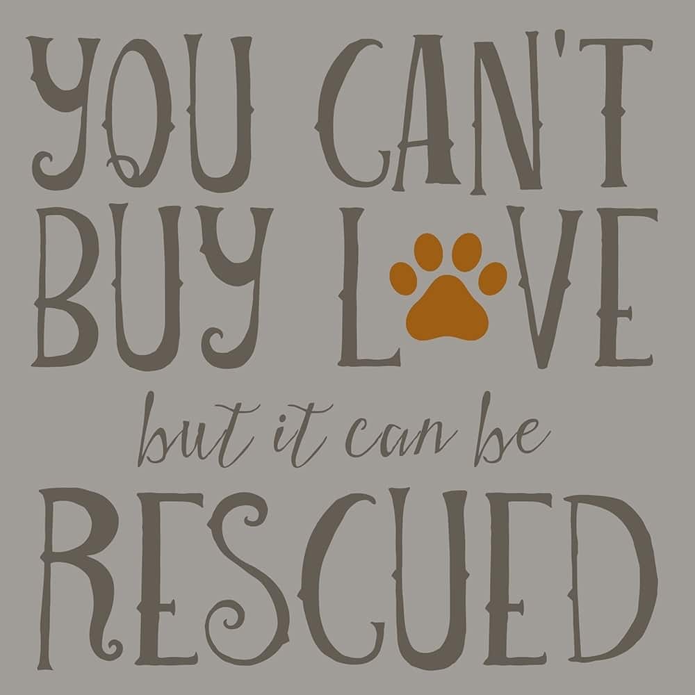 CANVAS You Can't Buy Love but It Can Be Rescued by Brandi Fitzgerald