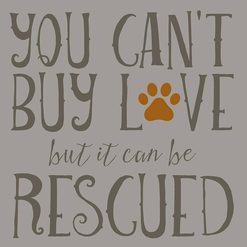 CANVAS You Can't Buy Love but It Can Be Rescued by Brandi Fitzgerald