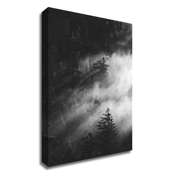 Misty Pine Woods by Design Fabrikken , Print on Canvas, 20