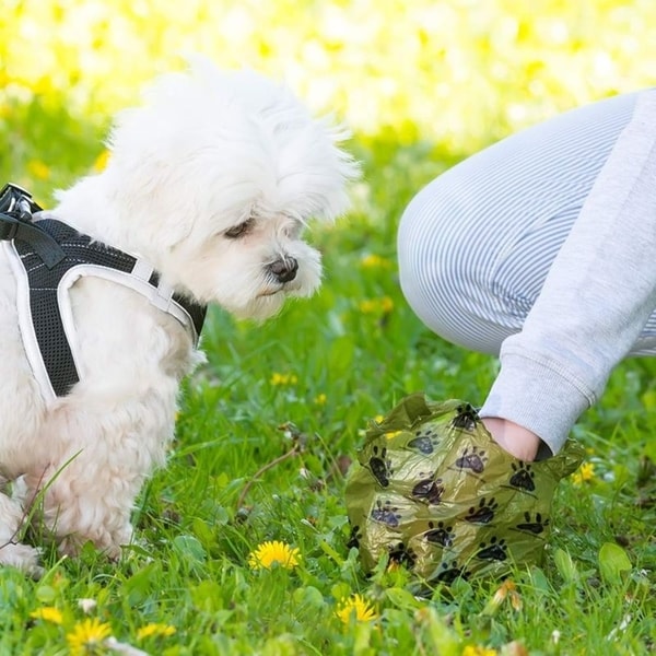 discount dog poop bags