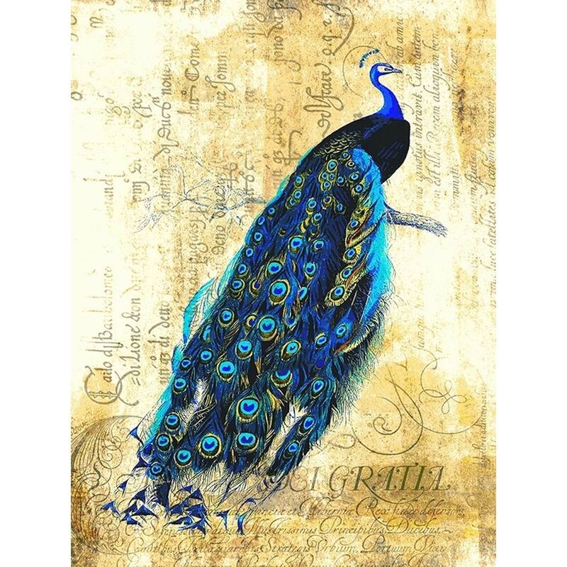 CANVAS Vintage Peacock by Brandi Fitzgerald Graphic Art