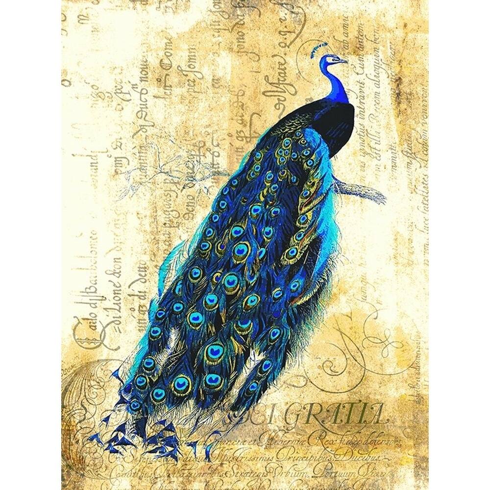 CANVAS Vintage Peacock by Brandi Fitzgerald Graphic Art