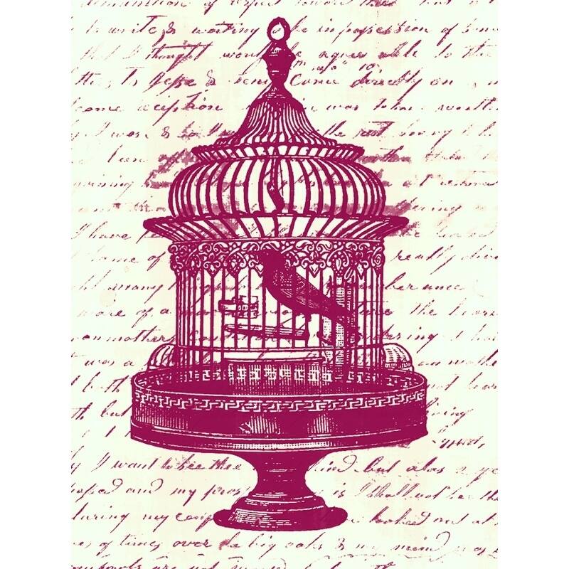 CANVAS Vintage Birdcage by Brandi Fitzgerald Graphic Art Print - 32x24