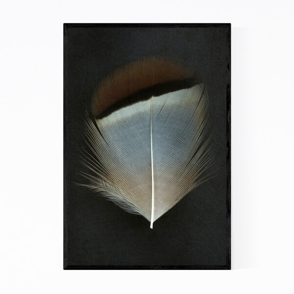 Noir Gallery Partridge Feather Nature Animal Bird Framed Art Print