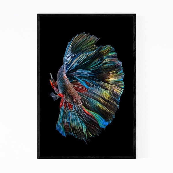 Noir Gallery Betta Fish Animal Photography Framed Art Print