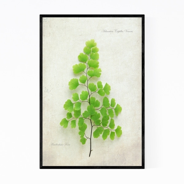 Noir Gallery Fern Leaf Minimal Floral Botanical Framed Art Print