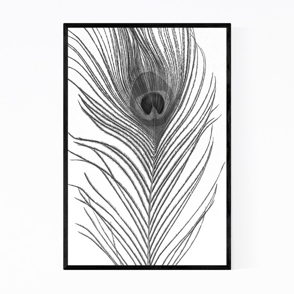 Noir Gallery Peacock Feather Animal Nature Framed Art Print