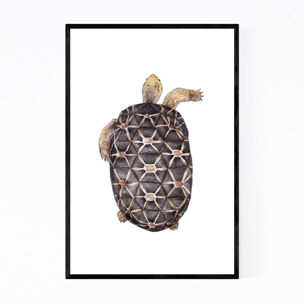 Noir Gallery Tortoise Animal Painting Nature Framed Art Print