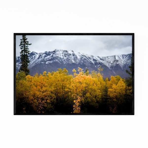 Noir Gallery Wrangell-St. Elias Alaska Nature Framed Art Print