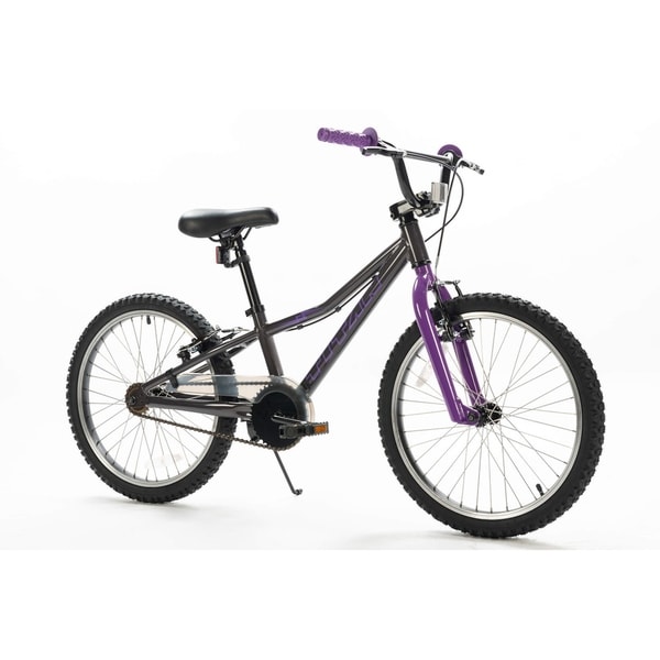 black and purple mountain bike