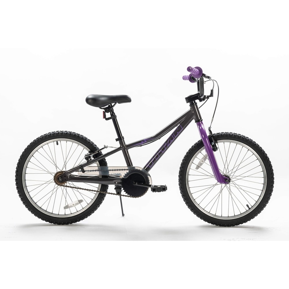 purple 20 inch bike