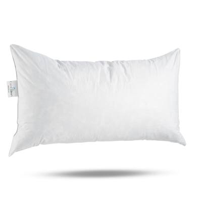 Buy Pillow Inserts Throw Pillows Online At Overstock Our Best