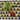 Emma Scarvey 'Geo Veggies II' Canvas Art