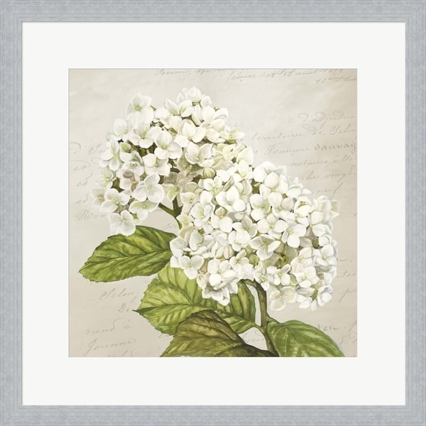 Remy Dellal 'Hydrangeas III (Neutre)' Framed Art