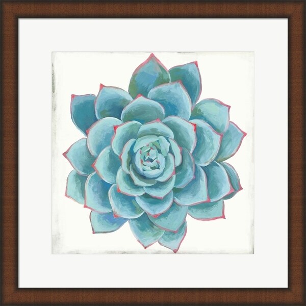 Aimee Wilson 'Pastel Succulent II' Framed Art