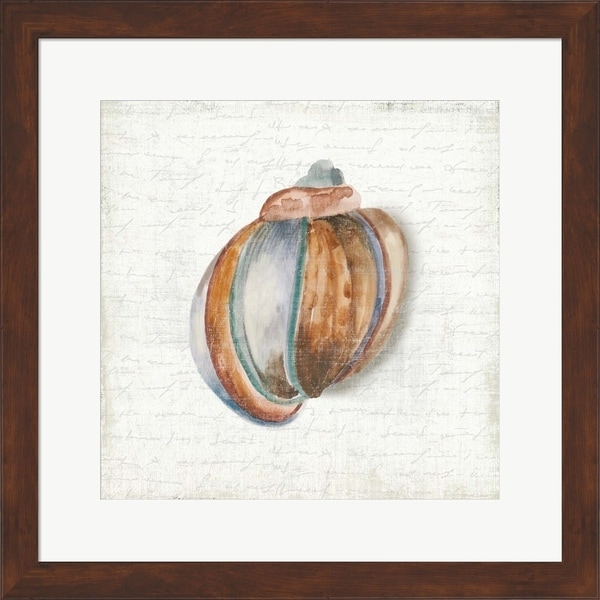 Aimee Wilson 'Seashell Portrait II' Framed Art