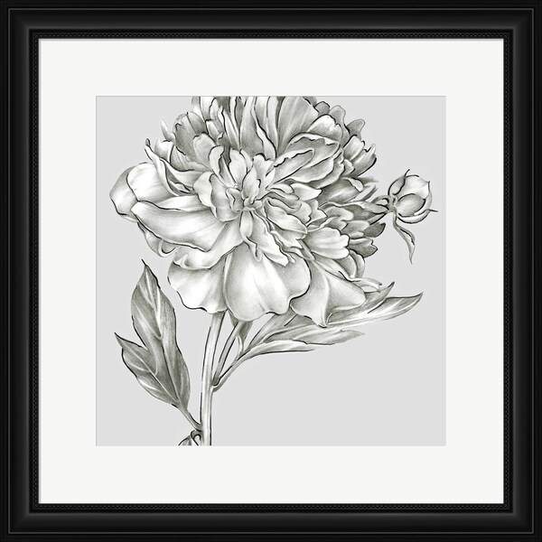 Eva Watts 'Glorious Peony I' Framed Art