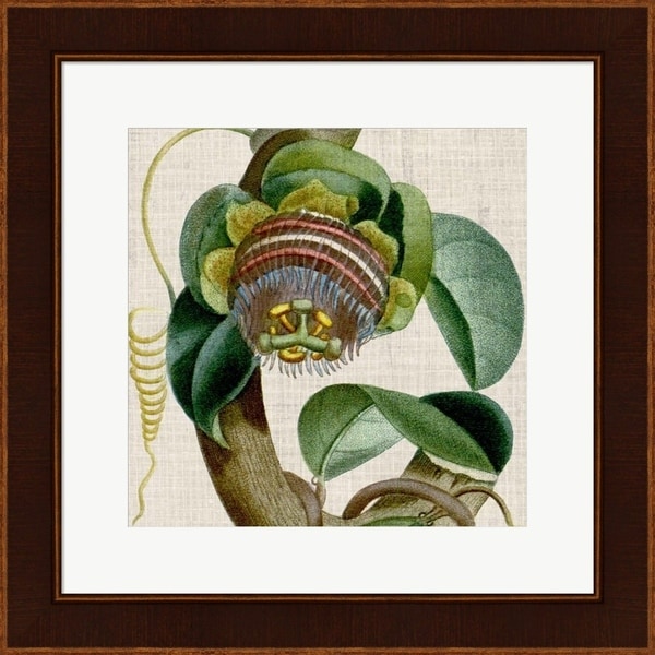 Vision Studio 'Cropped Turpin Tropicals IV' Framed Art