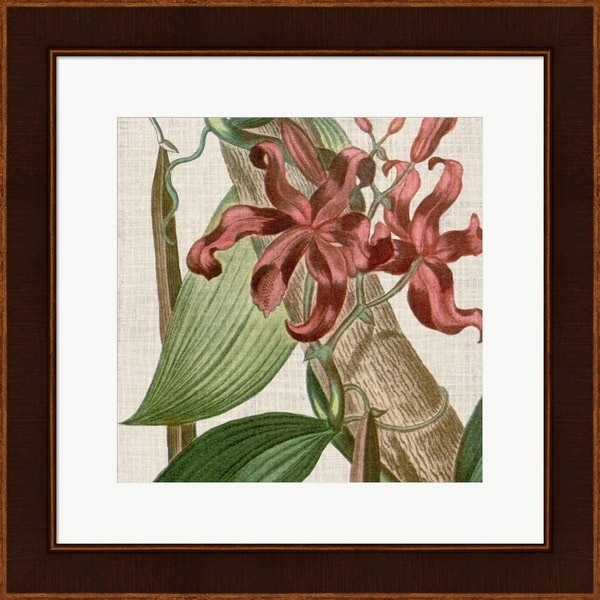Vision Studio 'Cropped Turpin Tropicals IX' Framed Art