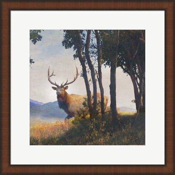 Chris Vest 'Mountain Elk' Framed Art