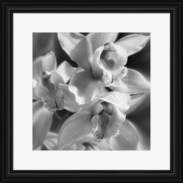 Collin Bogle 'Orchids - B&W' Framed Art