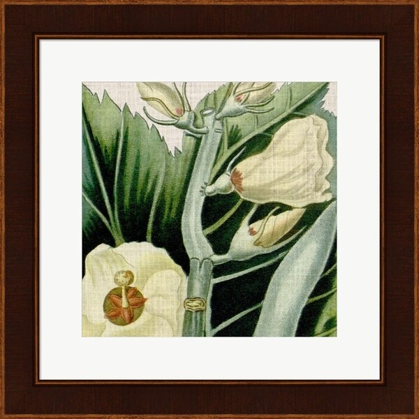 Vision Studio 'Cropped Turpin Tropicals III' Framed Art