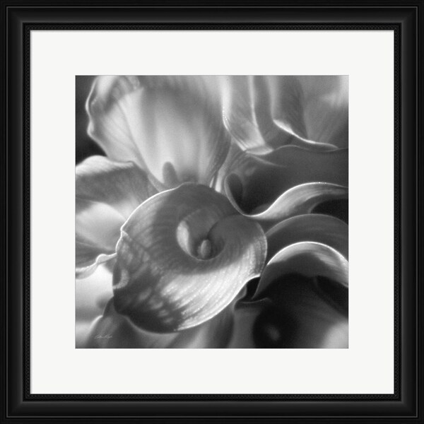 Collin Bogle 'Calla Lillie Bouquet' Framed Art