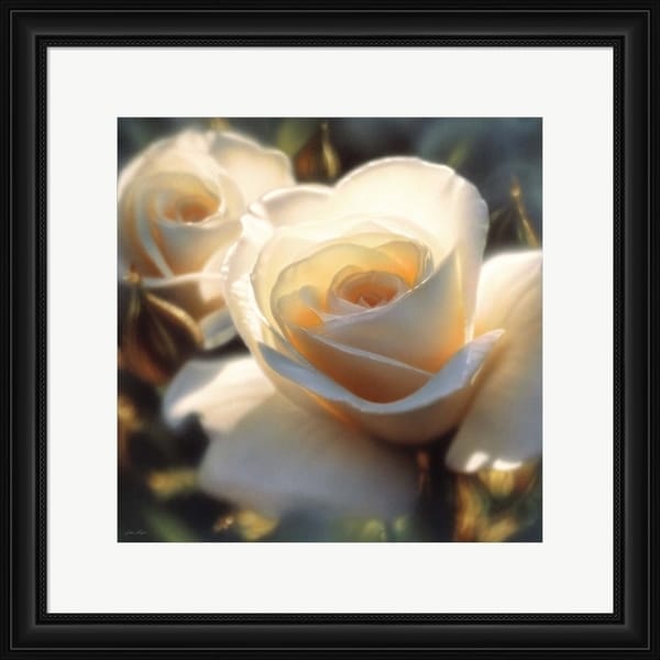 Collin Bogle 'White Rose - Colors of White - Square' Framed Art