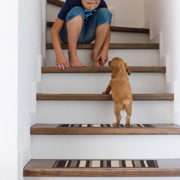 Shop Contemporary Modern Stripe Non Slip Stair Treads On Sale