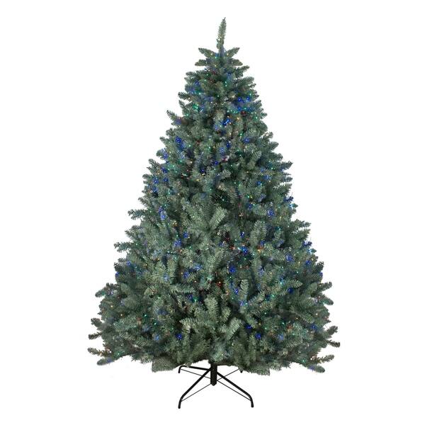 Shop 75 Pre Lit Colorado Blue Spruce Artificial Christmas