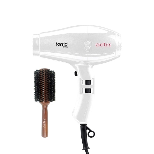 professional hair dryer price